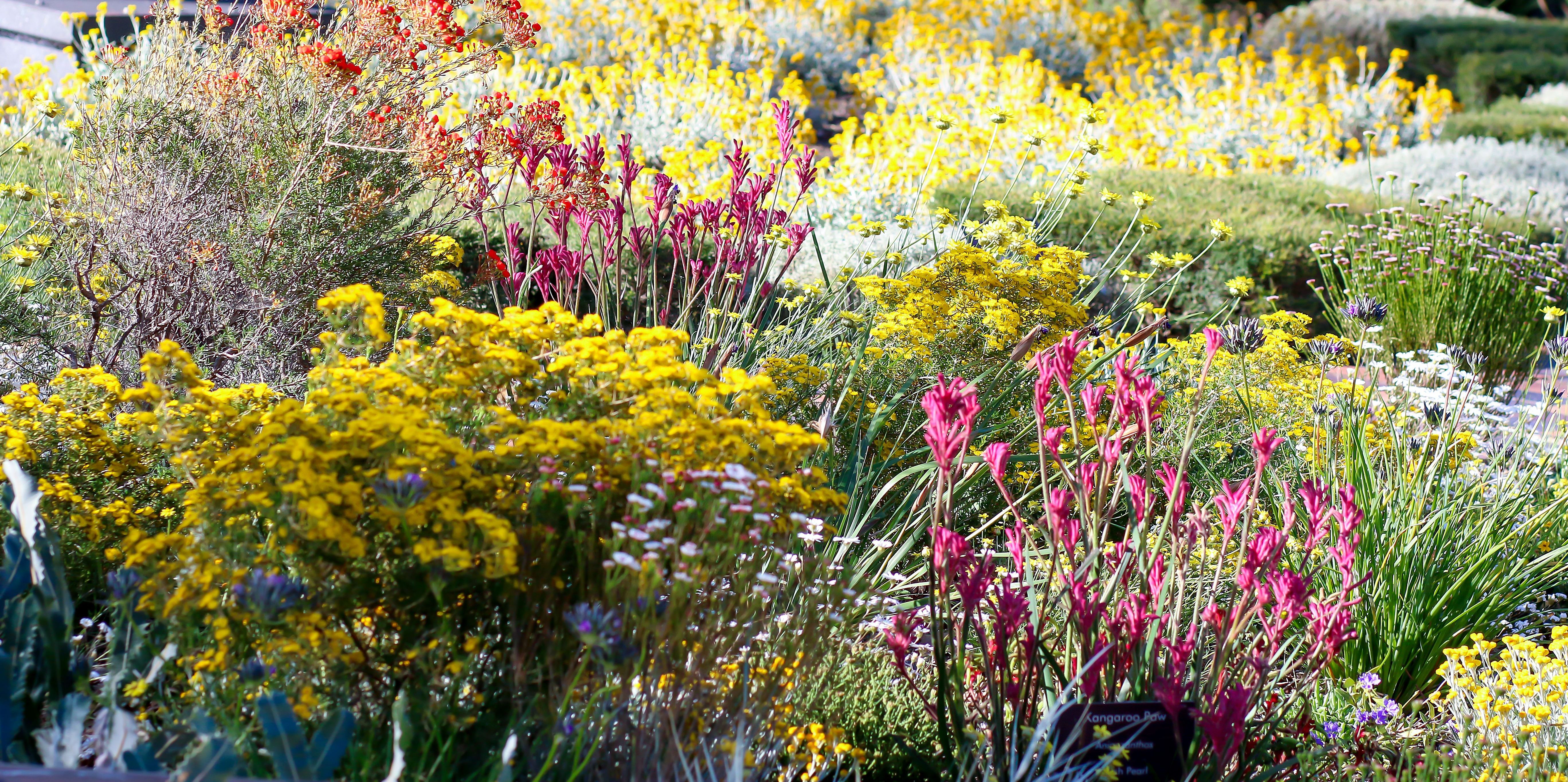 What is SDA? Specialist Disability Accommodation Guide