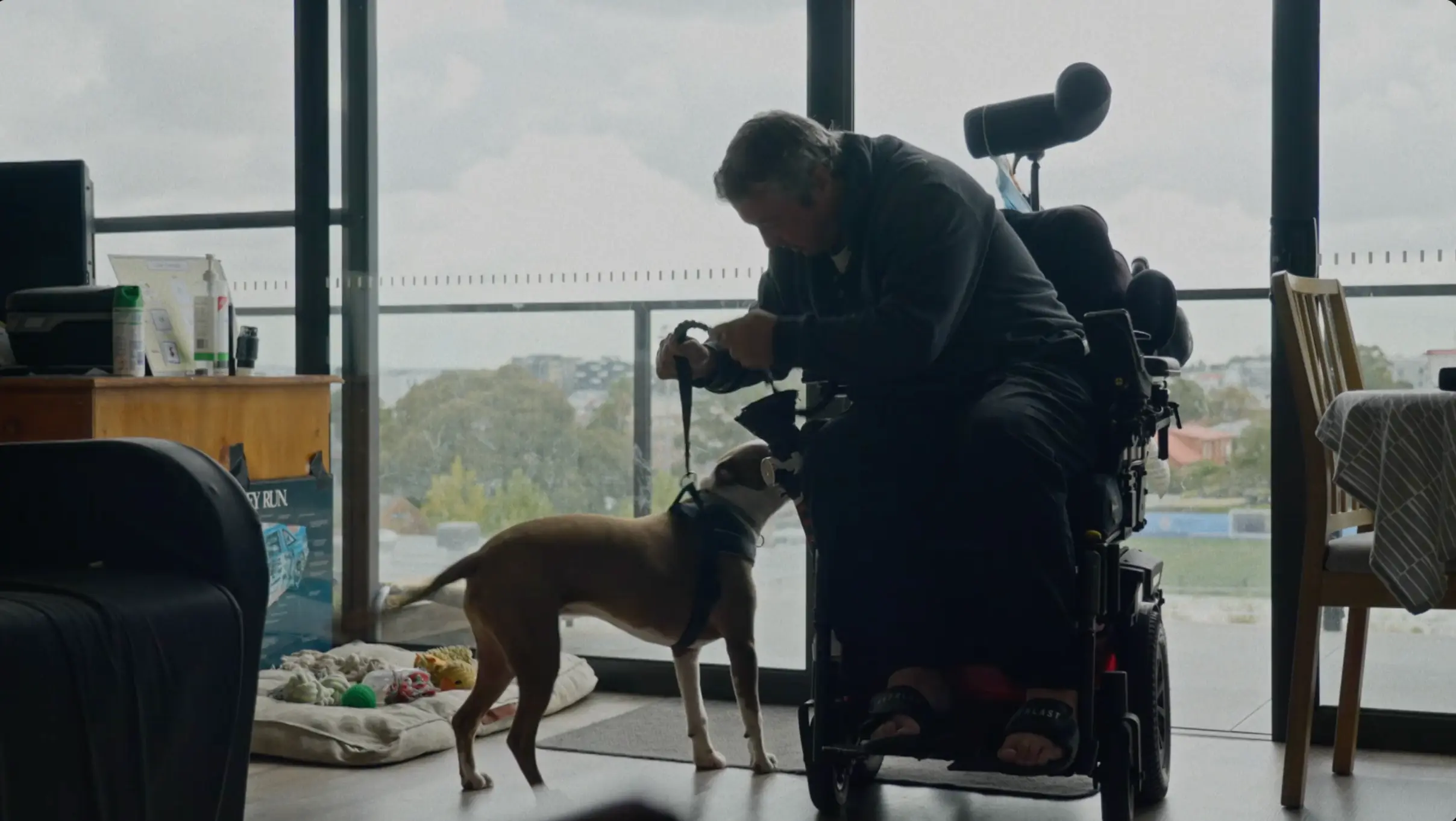 Luke at home with his assistance dog